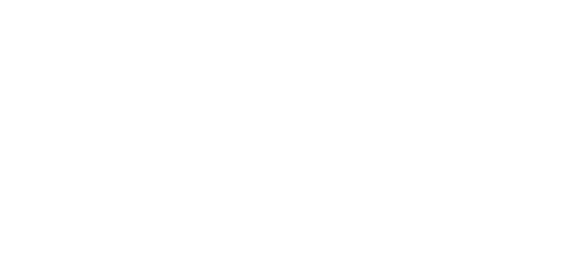 The Messy-Brained CEO logo. Business building for the ADHD as fuck